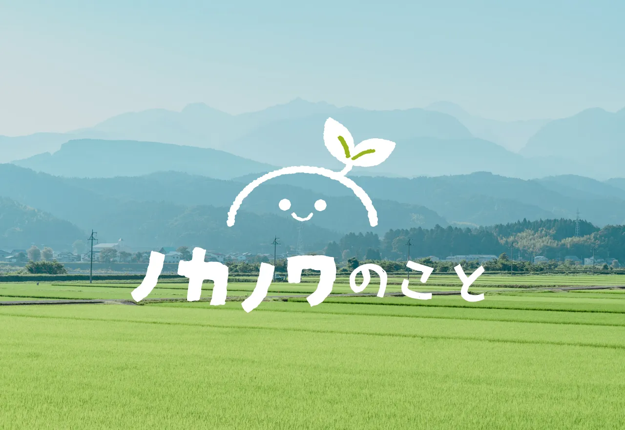 ノカノワのはじまり